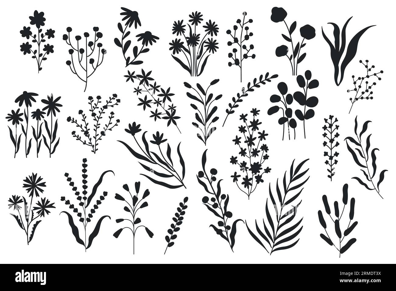 Silhouette mit wilden Blumen. Minimalistische florale botanische Elemente, Natur blühende Botanikblumen monochrome Pinselzeichnungen. Vektor-isoliertes Set Stock Vektor