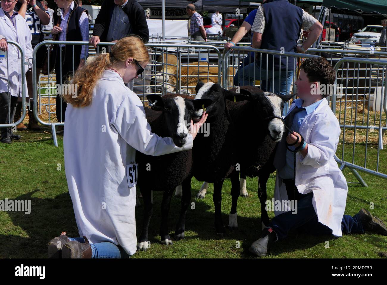 Landwirtschaft und Landwirtschaft im Vereinigten Königreich Stockfoto