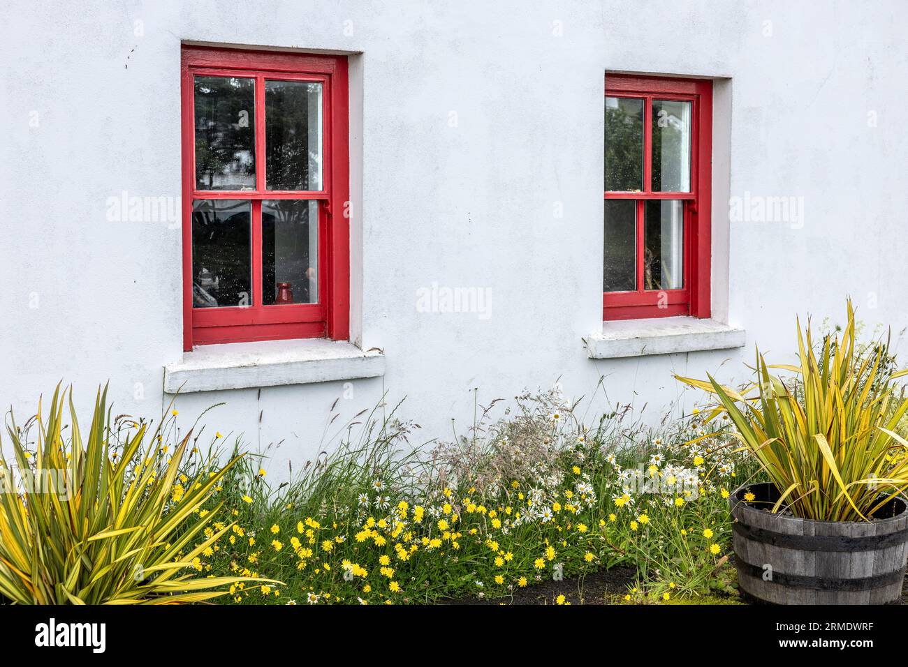 Rote Fenster und Sträucher, Cushendun, Antrim, Nordirland, Großbritannien Stockfoto