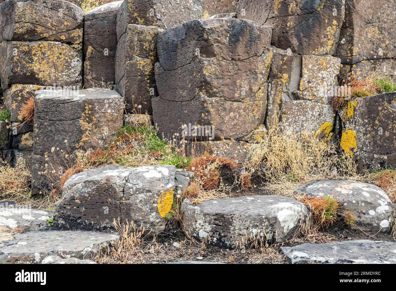Giant Causeway, Basaltsäulen, Causeway Coastal Path, County Antrim, Nordirland, UK Stockfoto