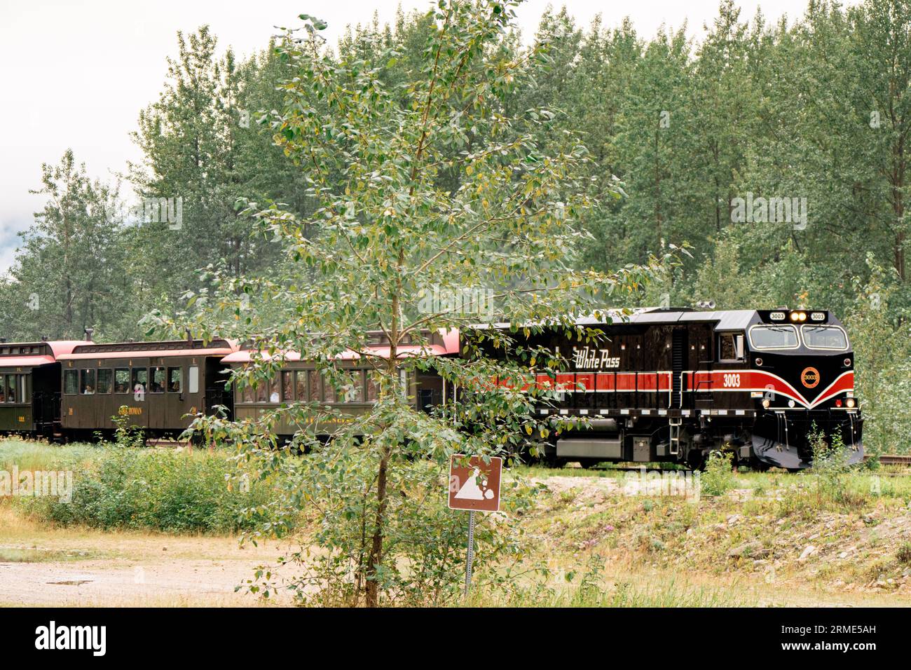 Der weiße Zug fährt die Gleise hinunter Stockfoto
