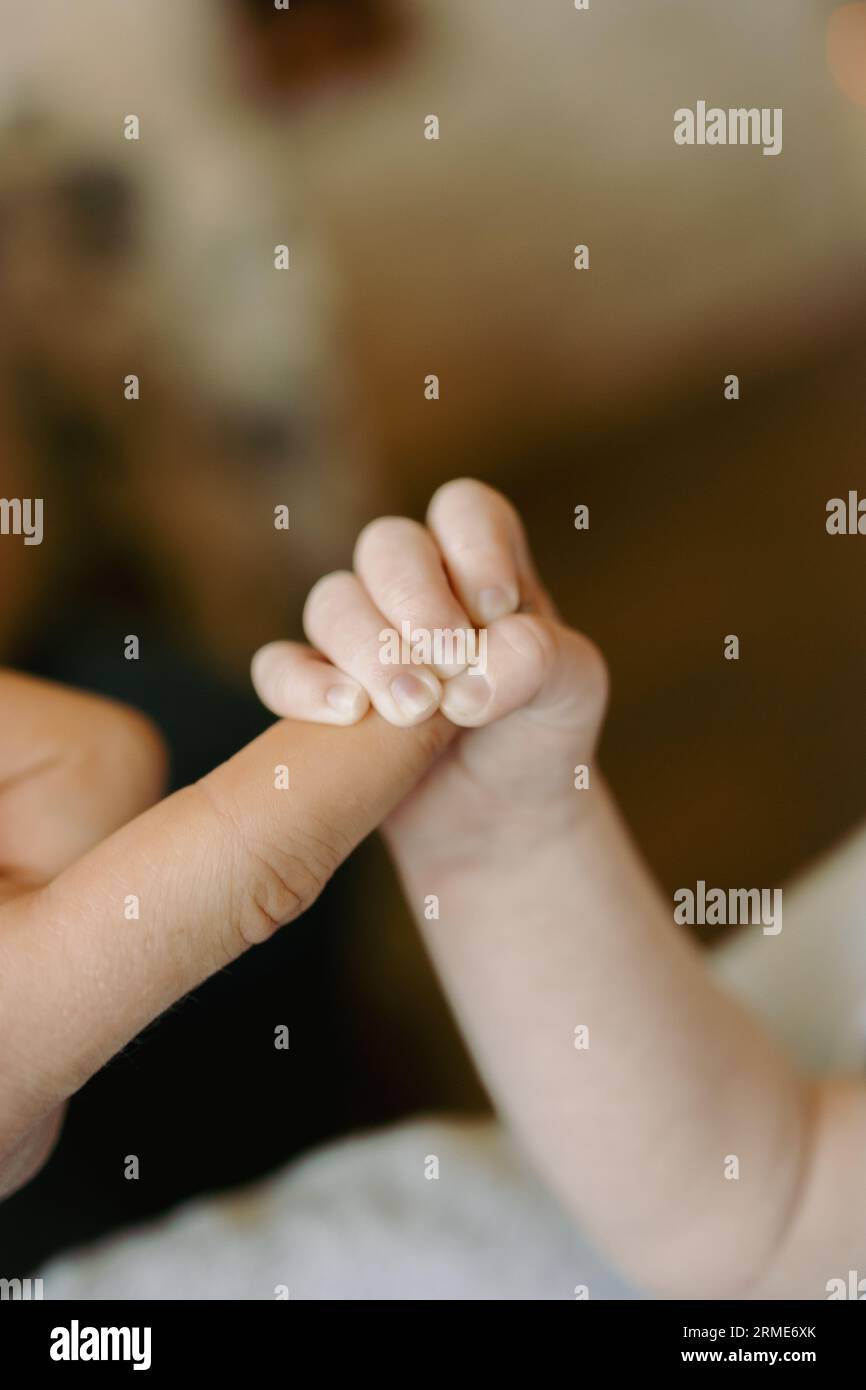 Die kleine Babyhand greift den Finger der Eltern liebevoll in den Griff Stockfoto