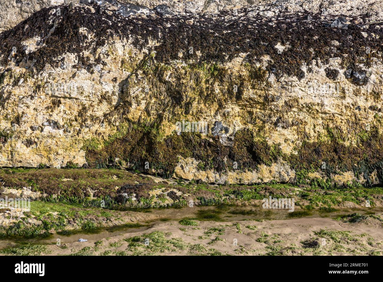 White Rocks Cliff Path, Portstewart Strand, (Strand), Portstewart, County Londonderry, Nordirland, Vereinigtes Königreich Stockfoto