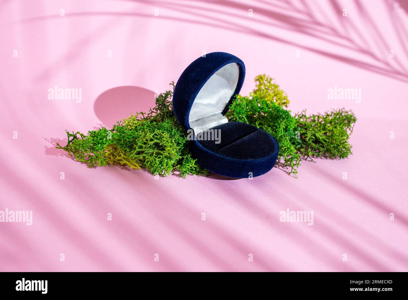 Leere Schmuckschatulle auf stabilisiertem Flechtenmoos und rosafarbenem Hintergrund mit Palmblättern und Schatten, minimaler Hintergrund für die Produktplatzierung Stockfoto