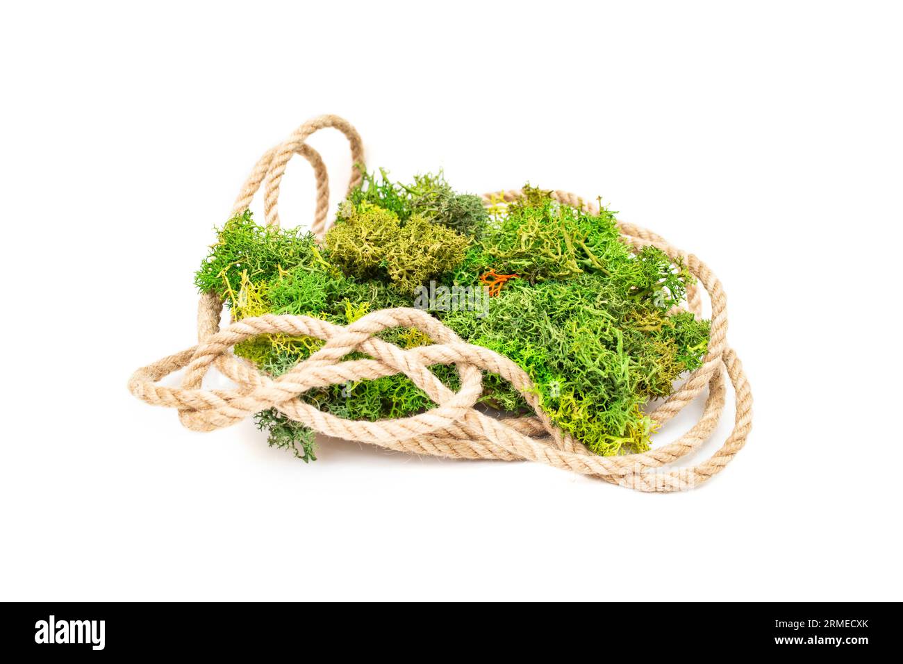 Juteseil mit grünem stabilisiertem Flechten, natürlicher Hintergrund für die Produktdarstellung, isoliert auf weißem Hintergrund Stockfoto