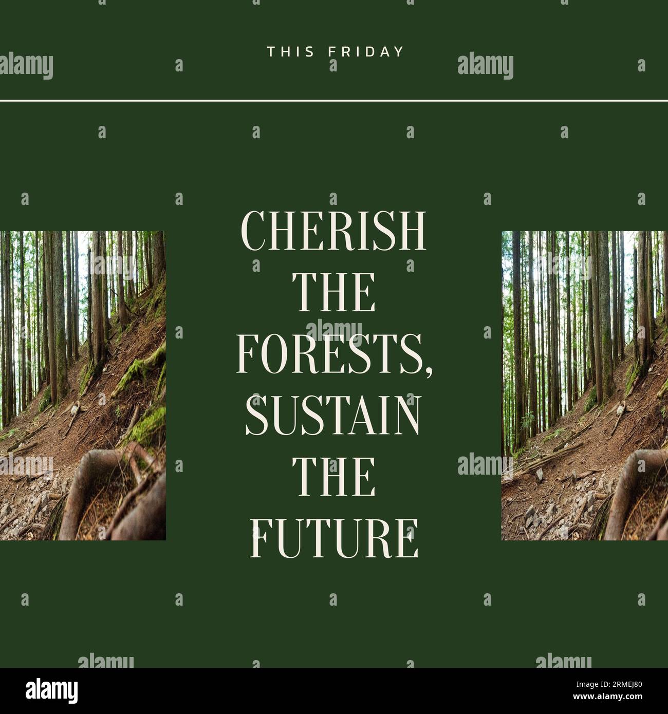 An diesem freitag werden die Wälder geschätzt, der Text und die Collage der Bäume, die in Wäldern wachsen, gepflegt Stockfoto