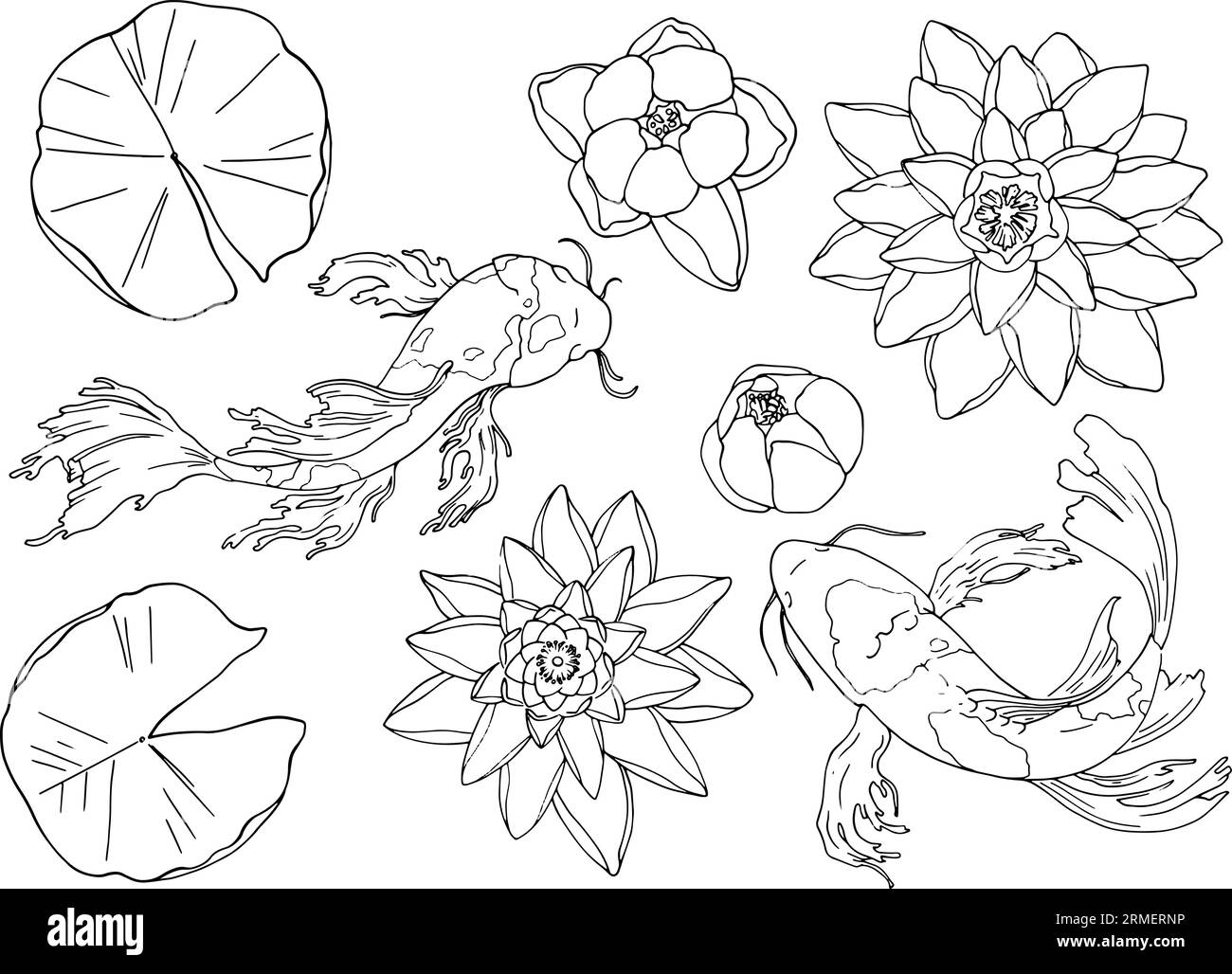 Eine Reihe von Seerosen mit Blättern und japanischen Karpfen. Trennen Sie Elemente auf weißem Hintergrund. Linienzeichnung, Vektor. Für hochwertige Bedruckung von Kleidung und Gegenständen. Aus der ZODIAC-Kollektion. Vektorillustration Stock Vektor