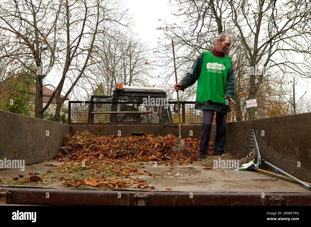 Reinigungsparks: Kommunale Kehrmaschinen, die Laubstapel auf einen Anhänger eines Traktors laden. Oktober 2017. Park Nivki. Kiew, Ukraine Stockfoto