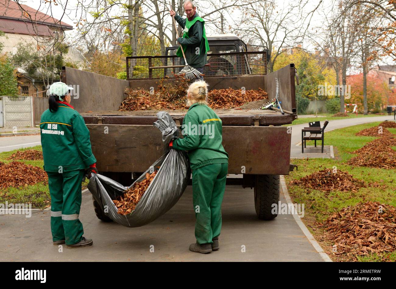 Reinigungsparks: Kommunale Kehrmaschinen, die Laubstapel auf einen Anhänger eines Traktors laden. Oktober 2017. Park Nivki. Kiew, Ukraine Stockfoto