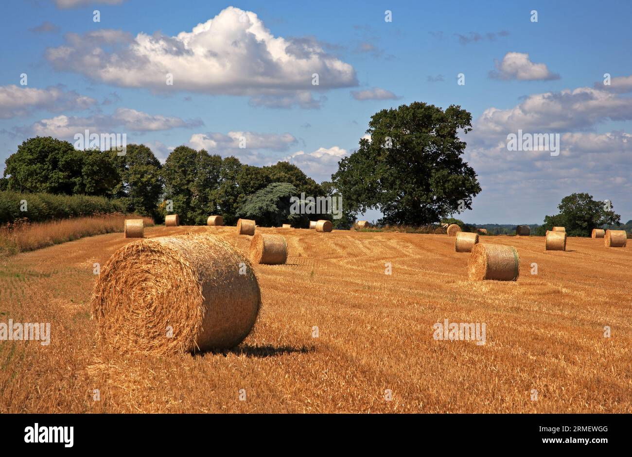 Ein geerntetes Feld mit Ballen auf einem Bauernhof in der Landschaft von Norfolk in Thurne, Norfolk, England, Vereinigtes Königreich. Stockfoto