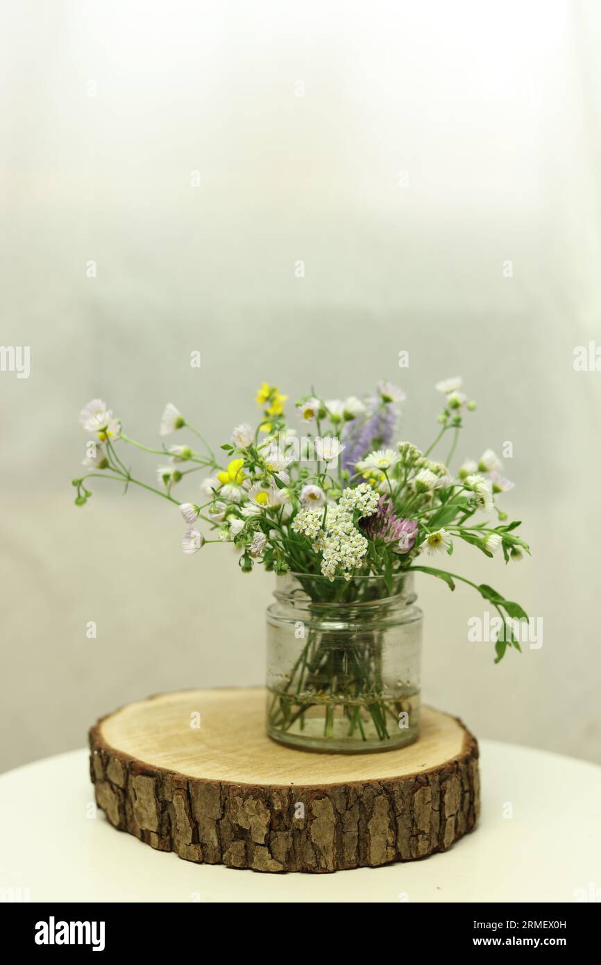 Wilde Blumen in einem Glas mit weißem Hintergrund Stockfoto