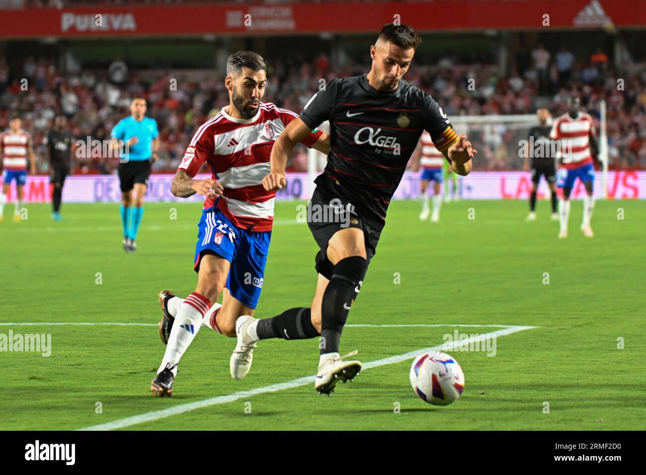 Granada, Spanien. 26. August 2023. Martin Valjent von RCD Mallorca treibt den Ball gegen Alberto Perea Correoso von Granada CF in Aktion während des Ligaspiels zwischen Granada CF und RCD Mallorca im Nuevo Los Carmenes Stadium am 26. August 2023 in Granada, Spanien. (Foto: José M. Baldomero/Pacific Press/SIPA USA) Credit: SIPA USA/Alamy Live News Stockfoto