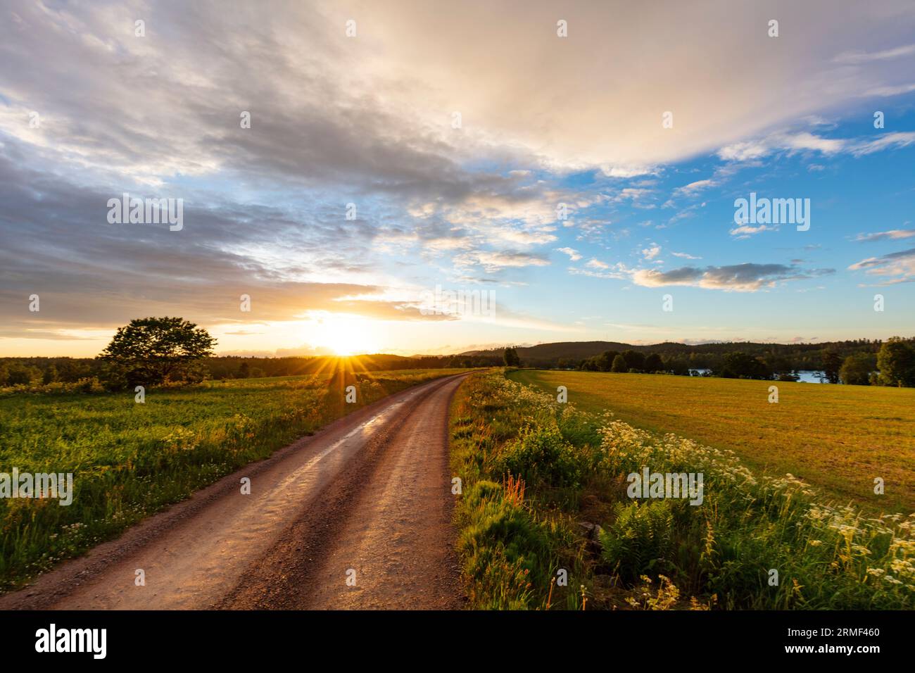 Blick auf die ländliche Landschaft mit unbefestigtem Pfad bei Sonnenuntergang Stockfoto