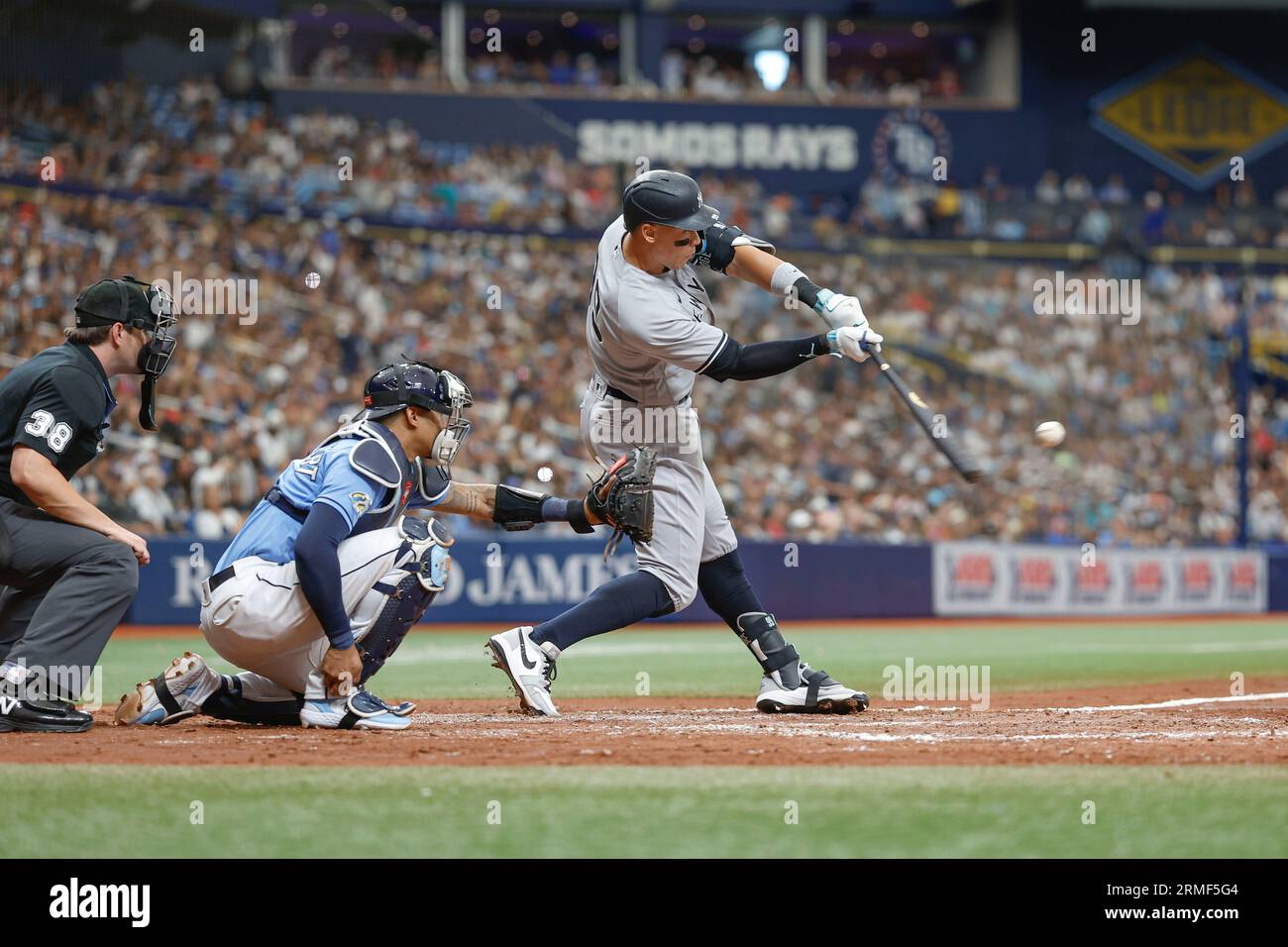 St. Petersburg, FL, USA; der von den New York Yankees ernannte Hitter Aaron Judge (99) fouls am Sonntag während eines MLB-Spiels gegen die Tampa Bay Rays auf einem Spielfeld, Stockfoto