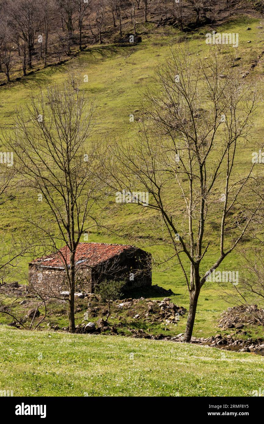 Rustikale Ruhe: Die Steinhütte in der Landschaft von Kantabrien bietet einen idyllischen Urlaub in Nordspanien Stockfoto