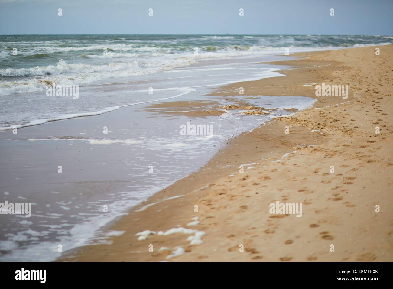 Sandstrand in Egmond aan zee in der Nähe von Alkmaar, Nordholland, Niederlande Stockfoto