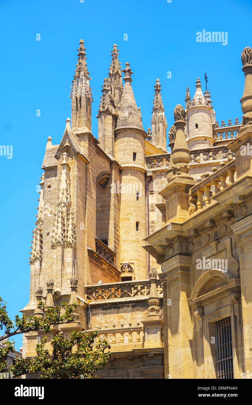Eckpfeiler der Südseite der Kathedrale von Sevilla mit einer Ecke des Archivo General de Indias-Gebäudes im Vordergrund. Sevilla, Spanien. Stockfoto