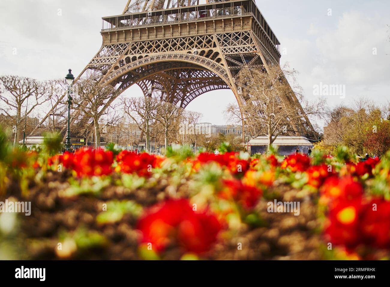 Eiffelturm durch die Blumen in Paris an einem schönen Frühlingstag gesehen Stockfoto