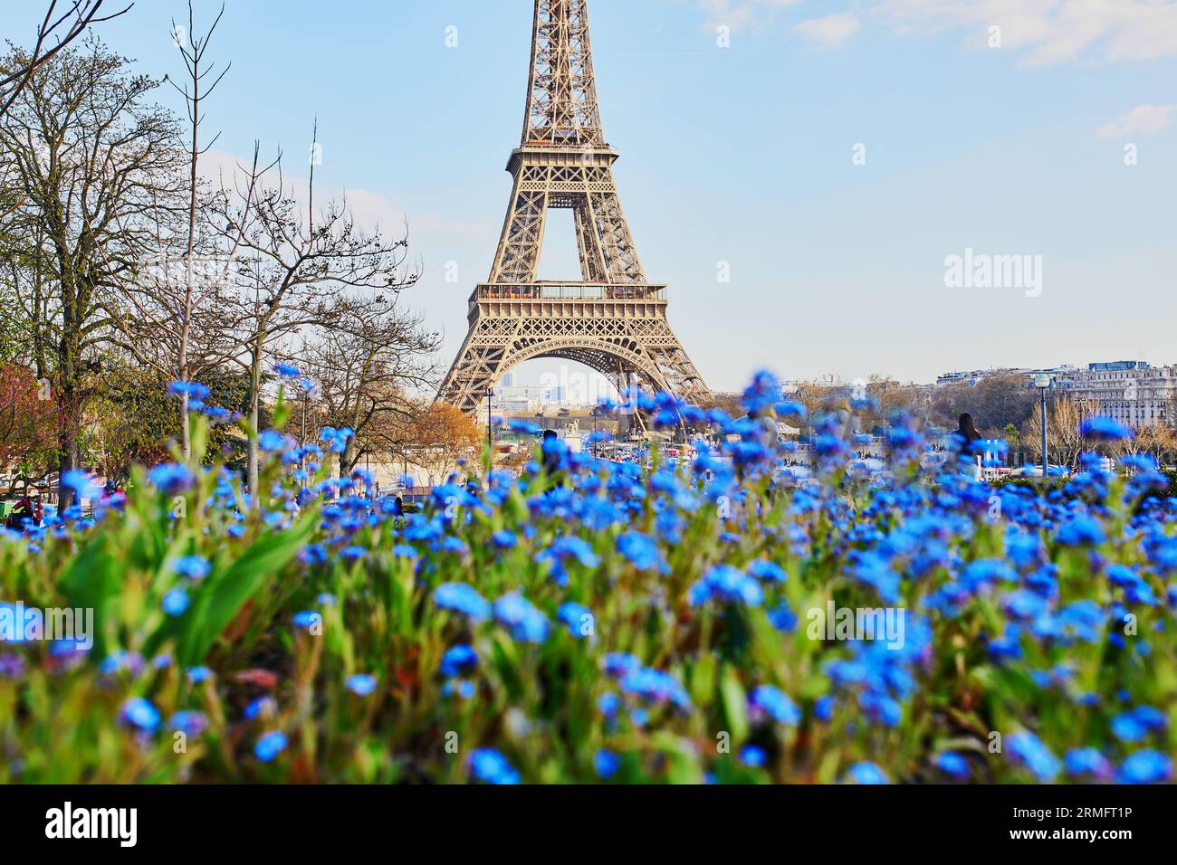 Eiffelturm durch wunderschöne blaue Blumen in Paris, Frankreich Stockfoto