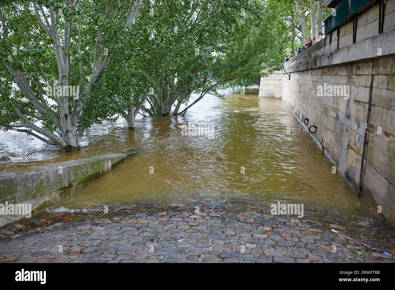 PARIS - 3. JUNI: Die Überschwemmung von Paris am 3. Juni 2016 in Paris, Frankreich Stockfoto