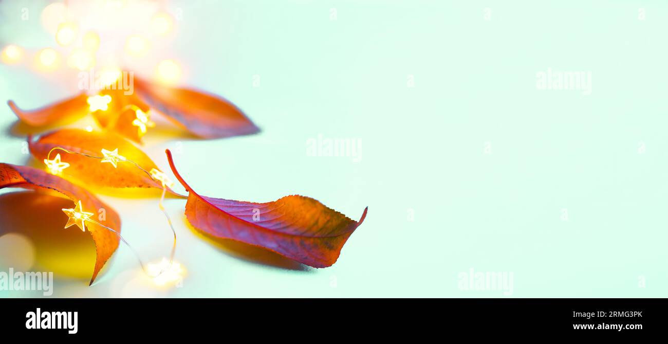 Kunst glücklich Danksagebanner Design. Herbstgelbe Blätter und festliche Lichter auf blauem Hintergrund Stockfoto