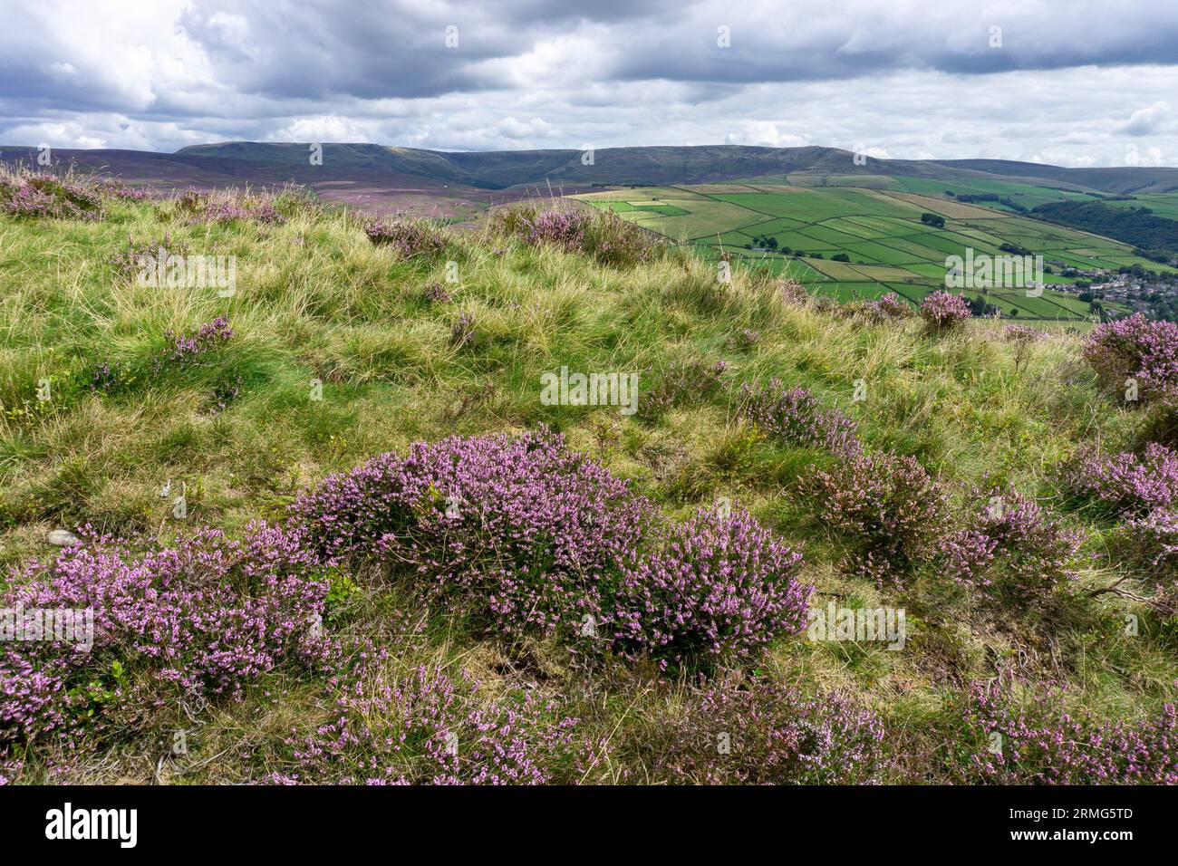 Blick über das Heidekraut von Kinder Scout im Peak District National Park, Derbyshire Stockfoto
