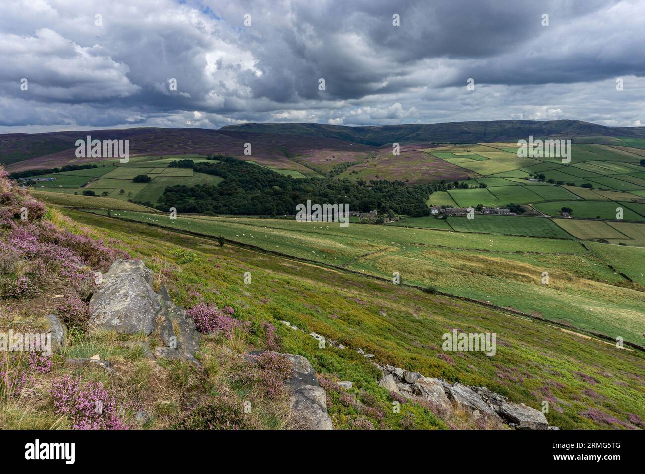 Blick über das Heidekraut von Kinder Scout im Peak District National Park, Derbyshire Stockfoto