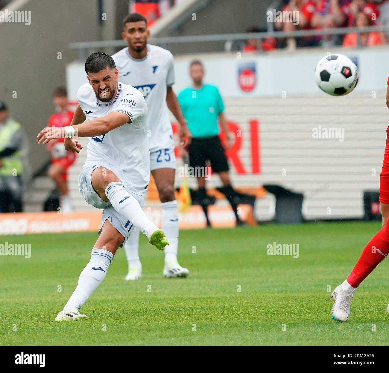 August 26, 2023, Voith-Arena, Heidenheim, GER, 1.FBL, 1.FC Heidenheim vs TSG 1899 Hoffenheim, DFL-Vorschriften verbieten jede Verwendung von Fotografien als Bildsequenzen und/oder Quasi-Video. Im Bild Florian Grillitsch (Hoffenheim) Stockfoto