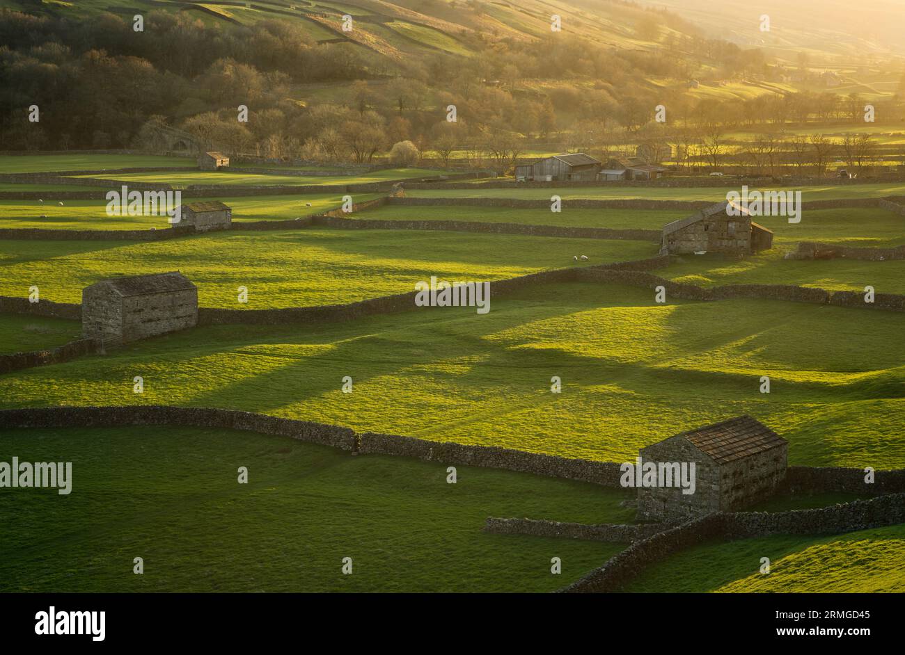 Muker Meadows Barns bei Sonnenuntergang in den Yorkshire Dales, UK Stockfoto