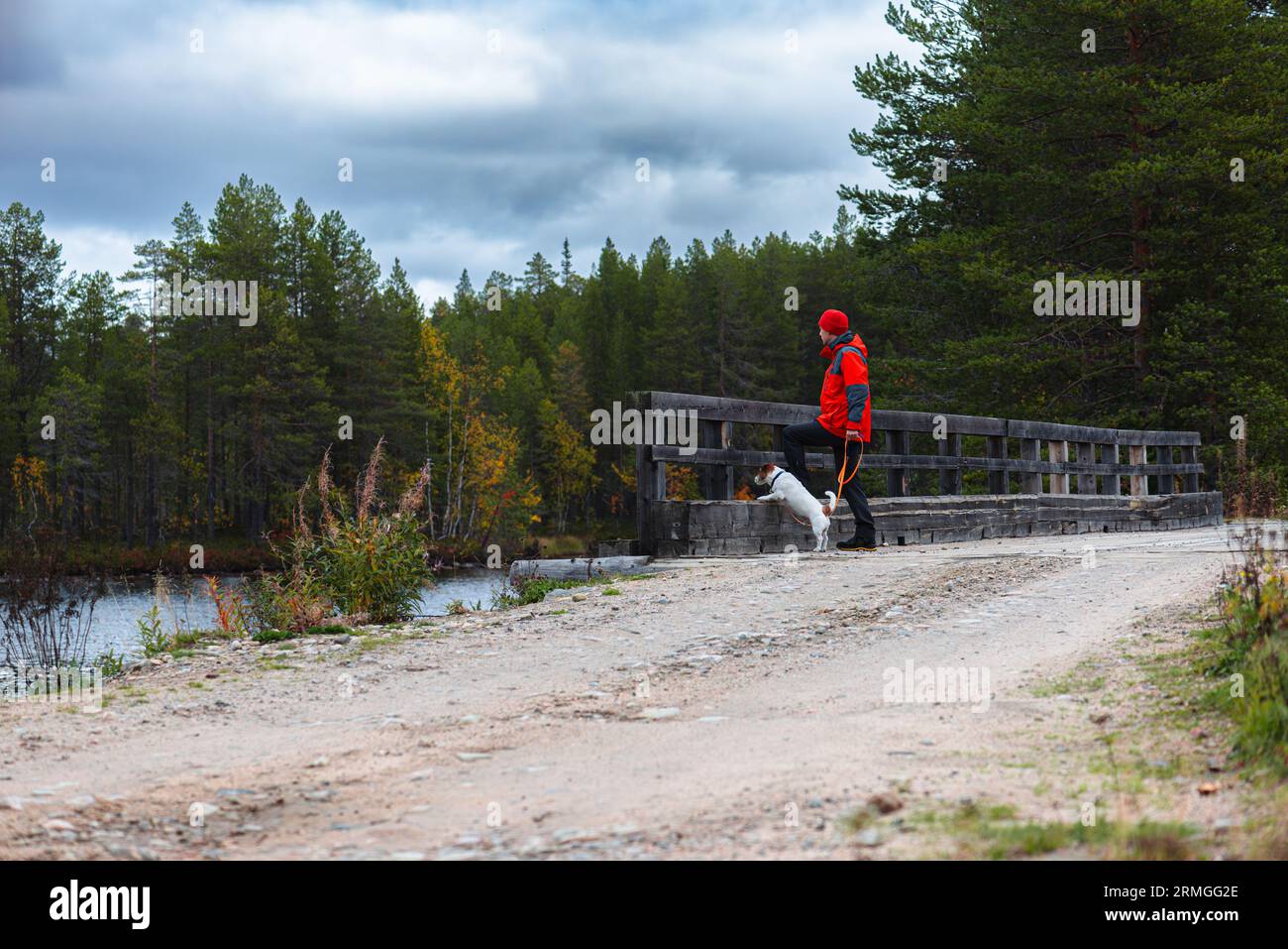 Mann, der mit Hund in der Natur spaziert und den Herbstsee und den Wald betrachtet Stockfoto