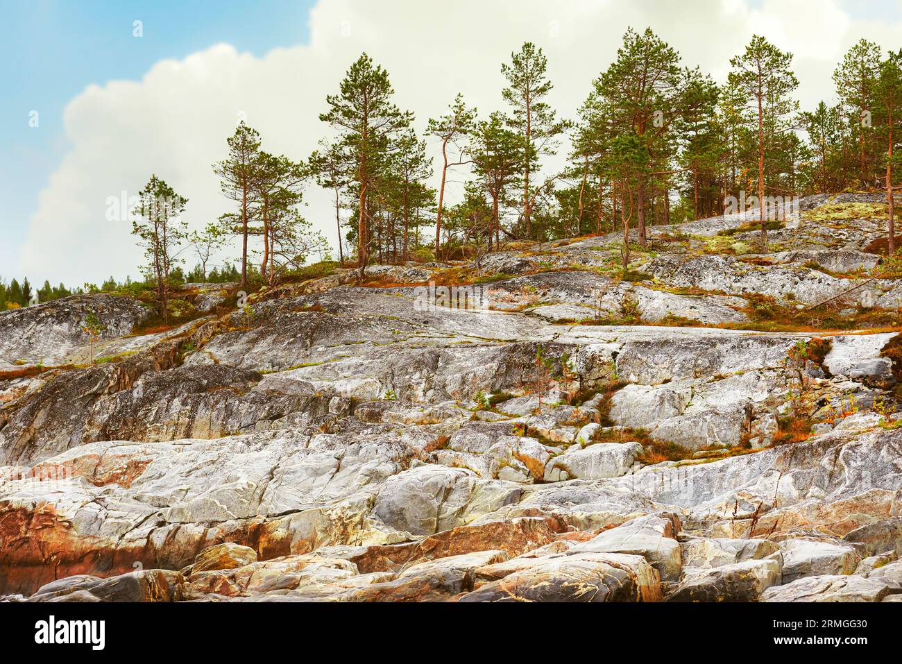 Nordische Herbstlandschaft mit bergiger Küste der Insel und Kiefernwald Stockfoto