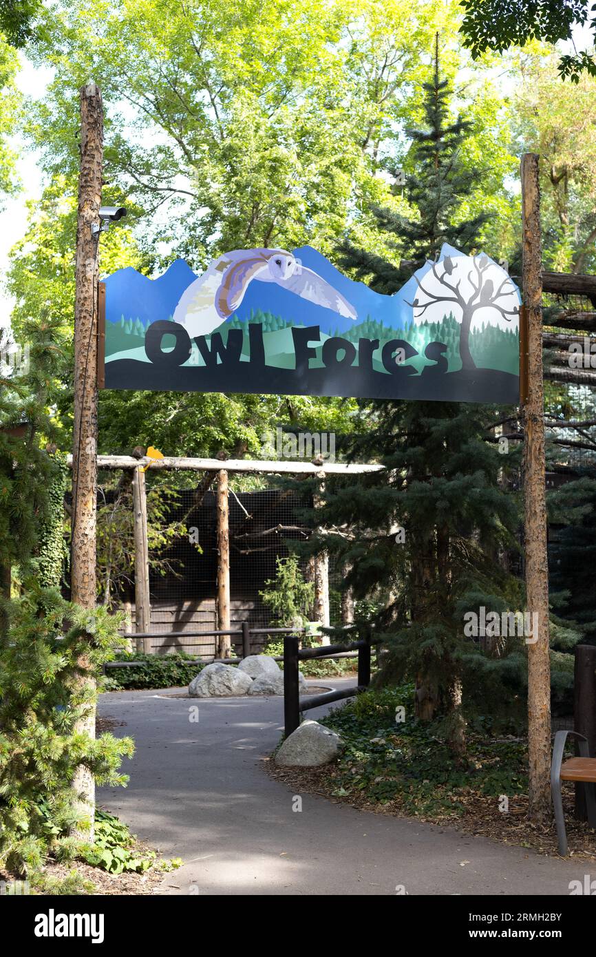 Eulenwald in Tracy Aviary und Gärten im Liberty Park in Salt Lake City, Utah. Stockfoto
