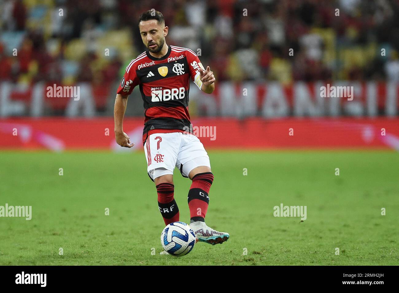 Rio de Janeiro, Brasilien, 3. August 2023. Fußballspieler Everton Ribeiro aus dem Flamengo-Team, während eines Spiels gegen Olimpia, für die Libertadores 202 Stockfoto