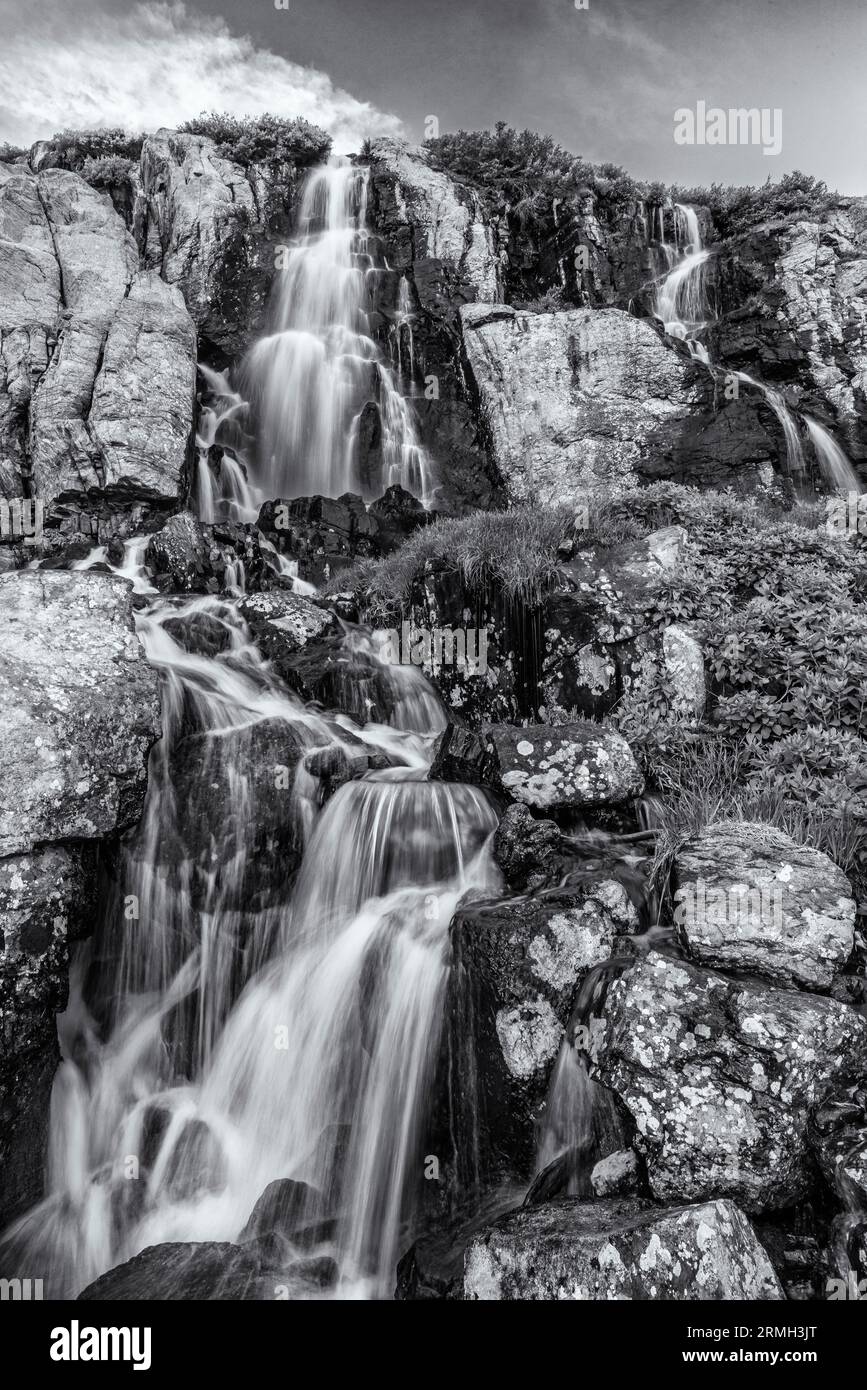 Schwarz-weiß-Bild der Timberline Falls im Rocky Mountain National Park, Estes Park, Colorado. Stockfoto