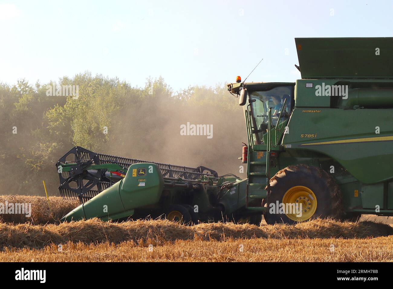 Mähdrescher-Fahrer startet eine weitere Reihe, die das gereifte Erntegut auf einem Weizenfeld in Buckinghamshire erntet, wenn das Abendlicht nachlässt, August 2023. Stockfoto