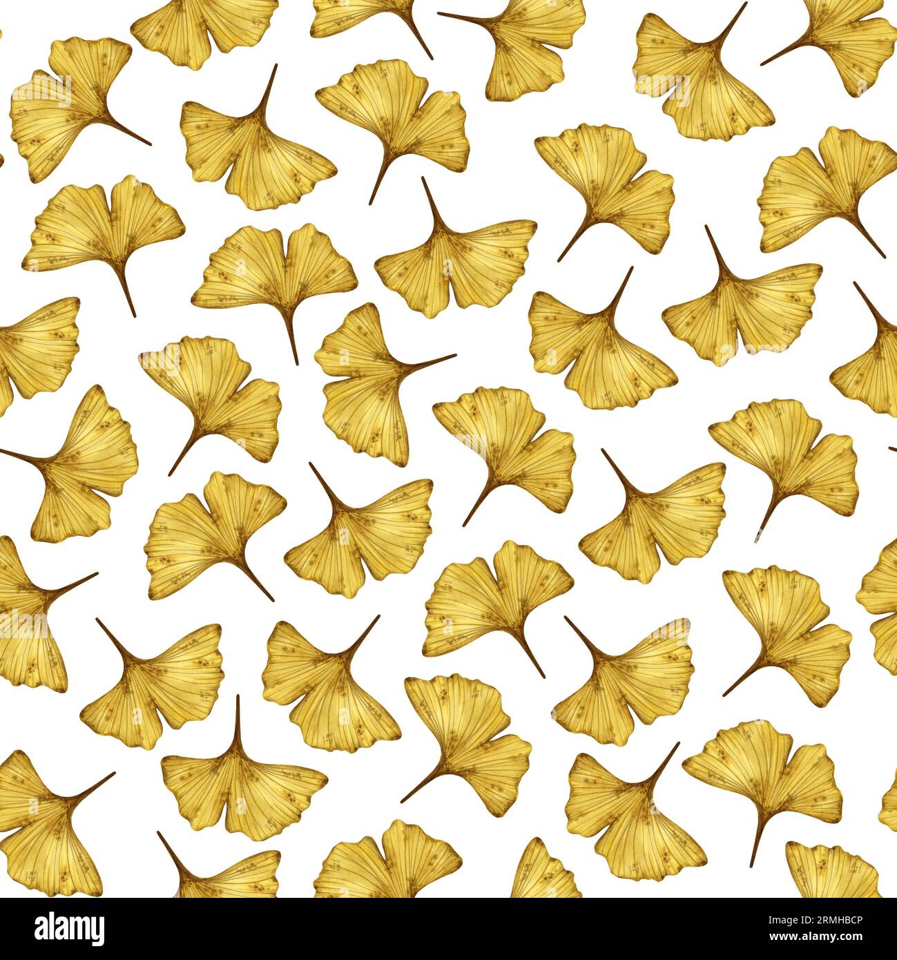 Nahtloses Muster mit Ginkgo biloba Herbstblättern isoliert auf weißem Hintergrund, handgezeichnete Aquarellillustration. Für Hintergrund, Stoff und Textil Stockfoto