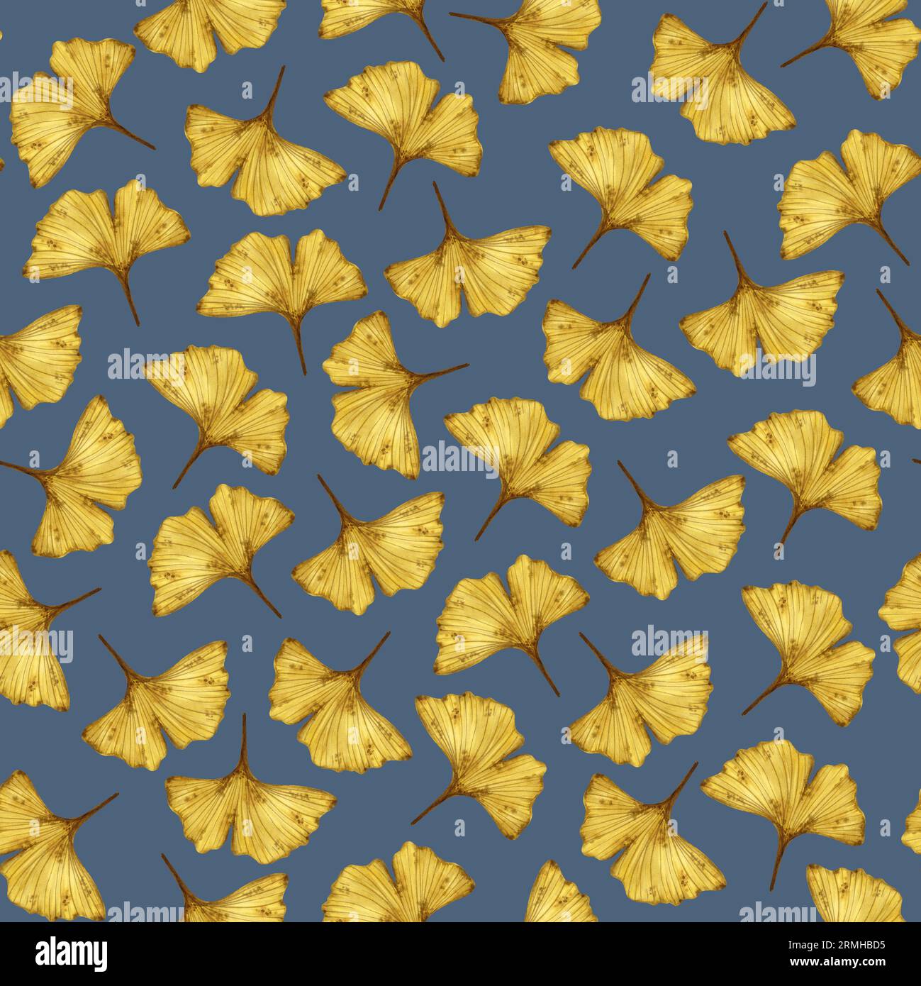 Nahtloses Muster mit Ginkgo biloba Herbstblättern isoliert auf grauem Hintergrund, handgezeichnete Aquarellillustration. Für Hintergrund, Stoff und Textil Stockfoto