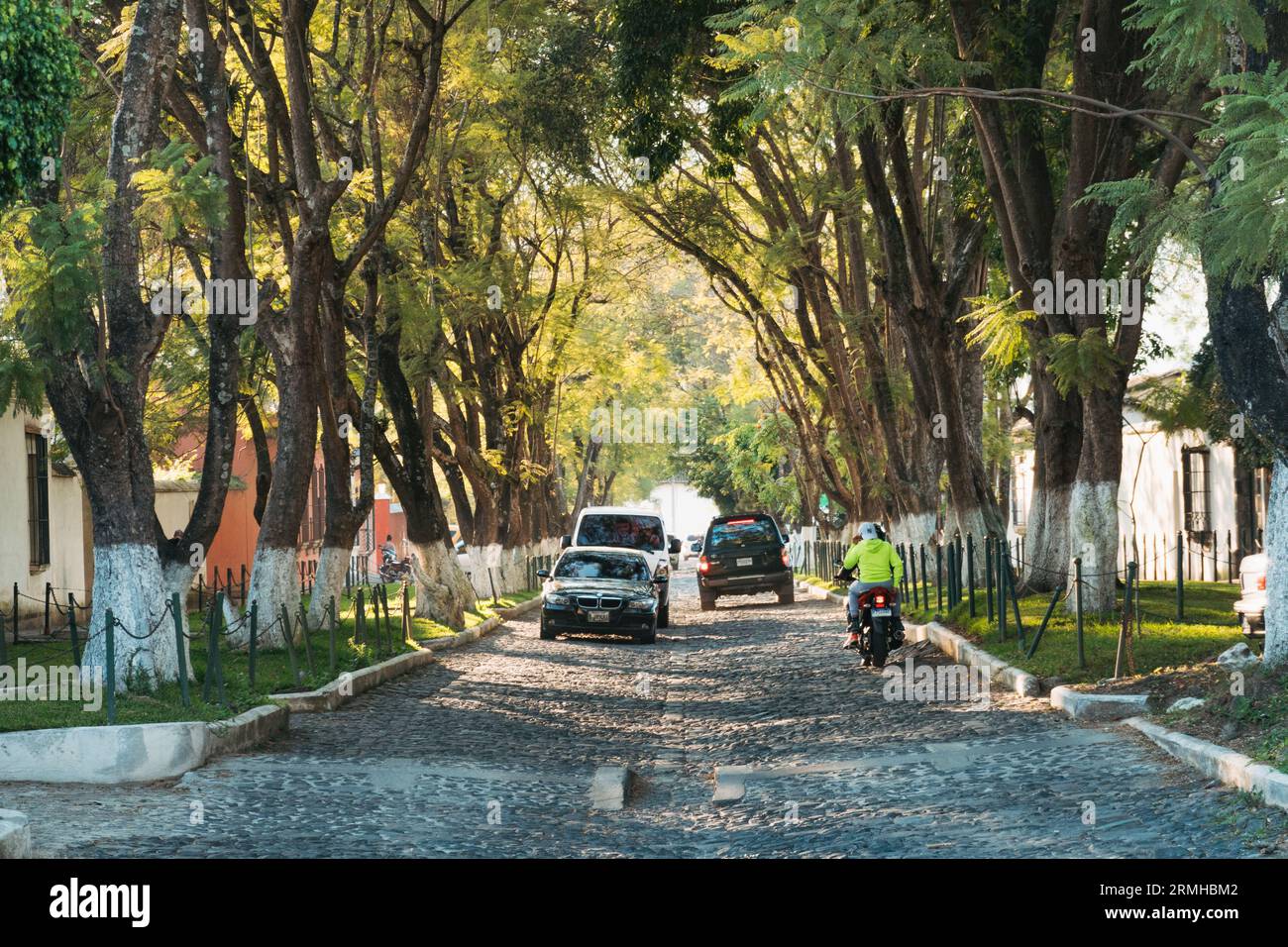 Eine von Bäumen gesäumte Kopfsteinpflasterstraße an einem sonnigen Nachmittag in der historischen Stadt Antigua Guatemala Stockfoto