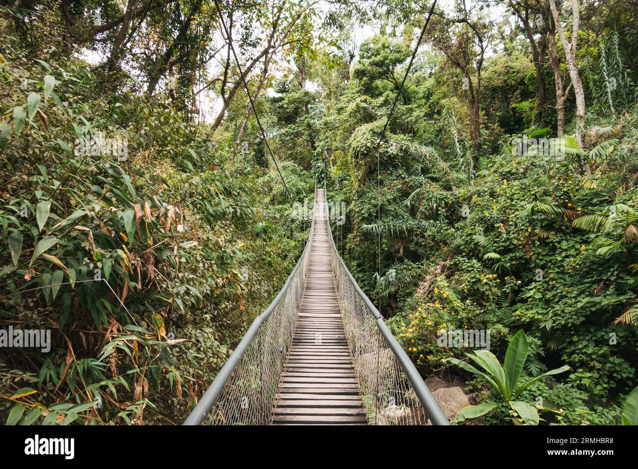 Eine Kabelbrücke mit Holzplanken im Atitlán Natural Reserve, einem Naturschutzgebiet am Ufer des Atitlan-Sees, Guatemala Stockfoto