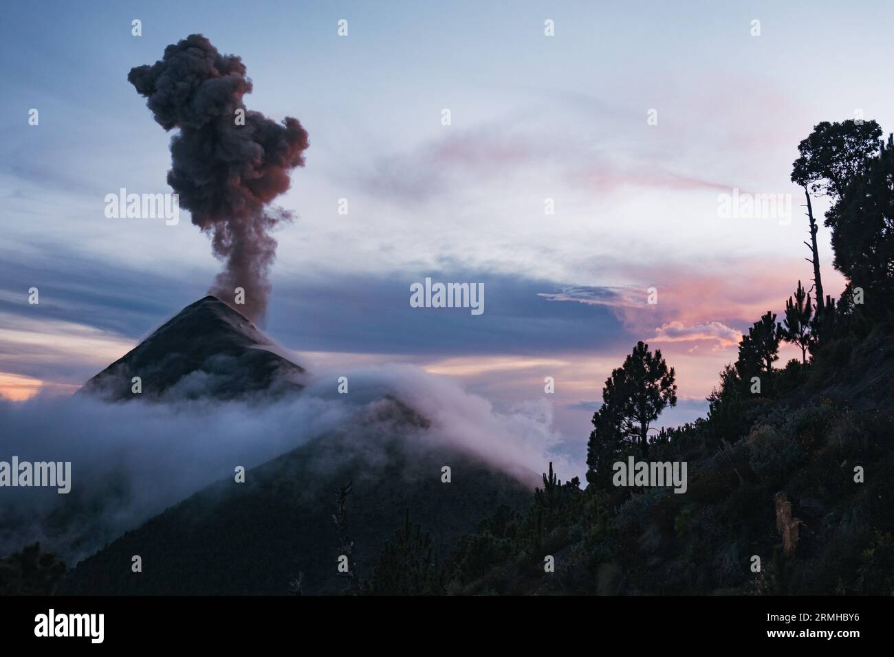Eine dramatische Szene, wie der Fuego-Vulkan in Guatemala durch eine niedrige Abendwolke ausbricht und eine dunkle Aschewolke hoch in die Luft schickt Stockfoto