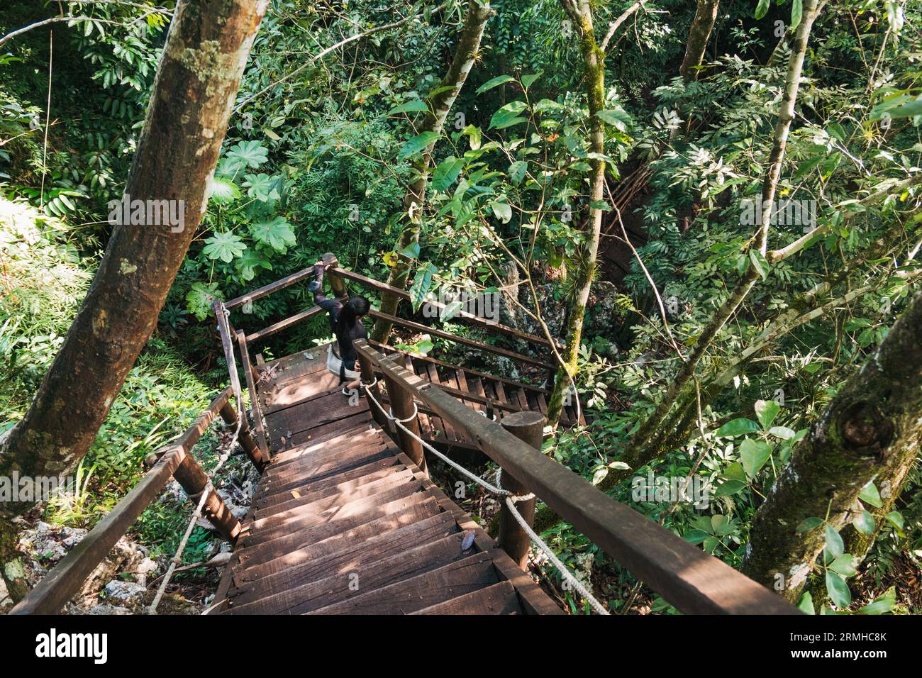 Steile Holztreppen führen hinunter zum Fluss Cahabón am Semuc Champey Natural Monument, Guatemala Stockfoto