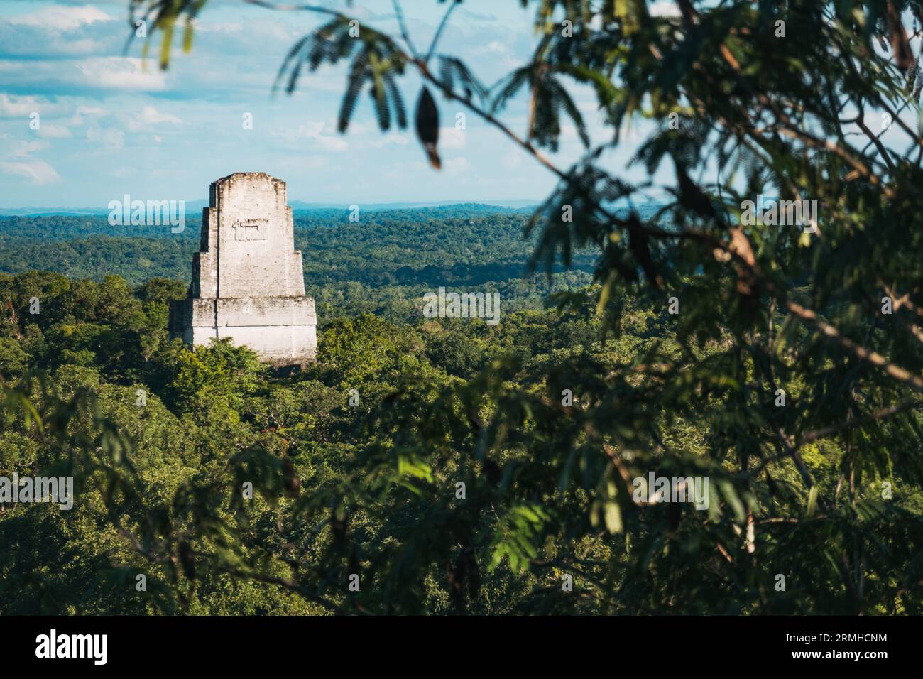 Der Blick auf den Tempel III, der über dem Wald im archäologischen Park Tikal in Guatemala aufsteigt. Einst eine antike Maya-Stadt. Stockfoto