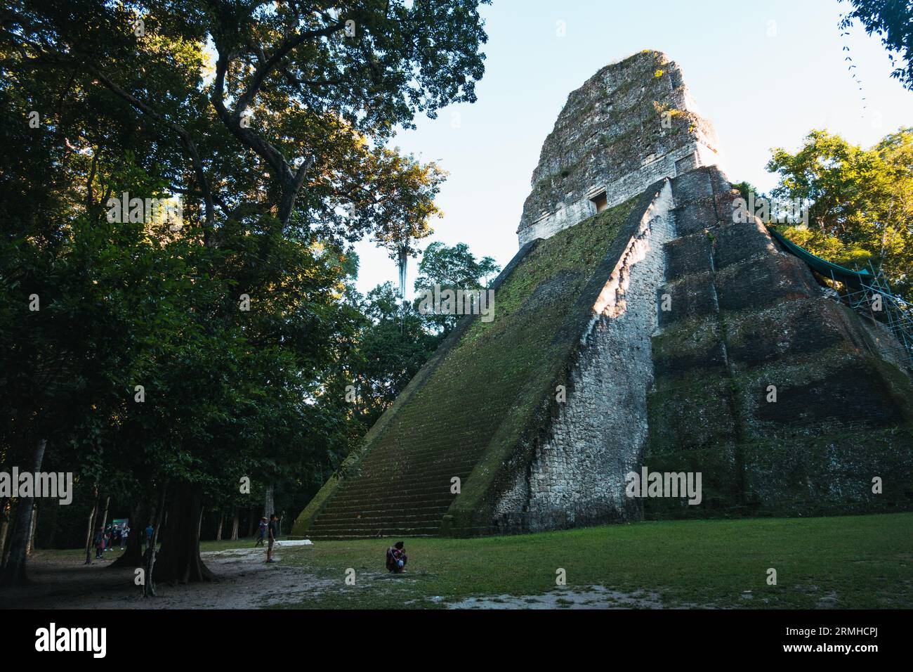 Tempel V, ein antiker Maya-Tempel im archäologischen Park Tikal, Guatemala Stockfoto