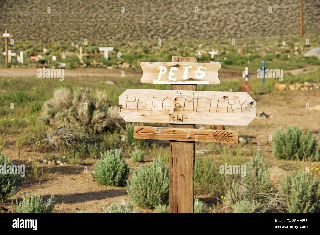 Informeller Haustier-Friedhof in der Wüste mit selektivem Fokus auf dem Haustier-Friedhof-Schild Stockfoto