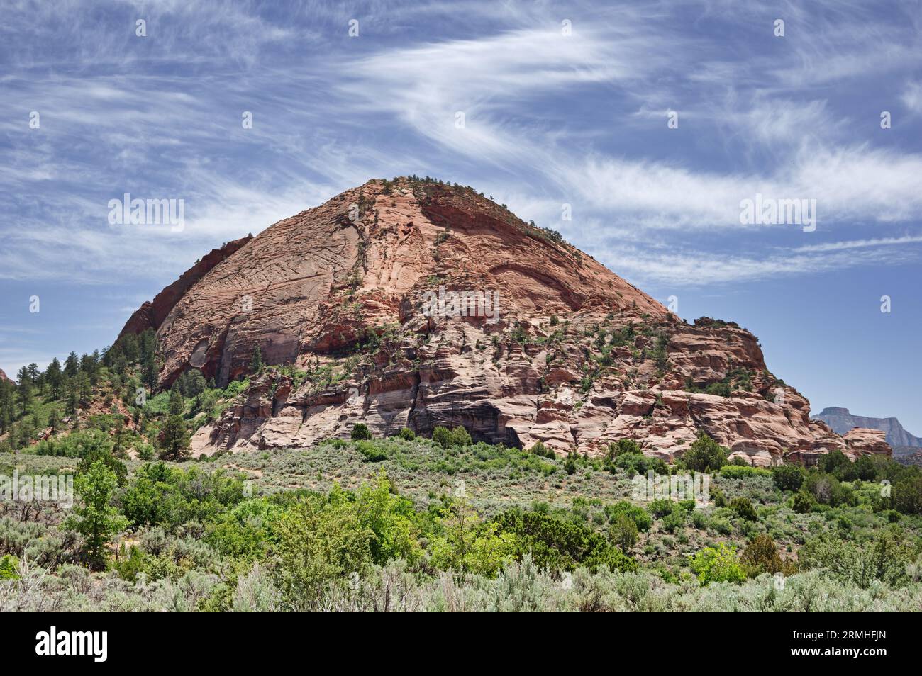 Tabernacle Dome im Zion-Nationalpark von Utah Stockfoto