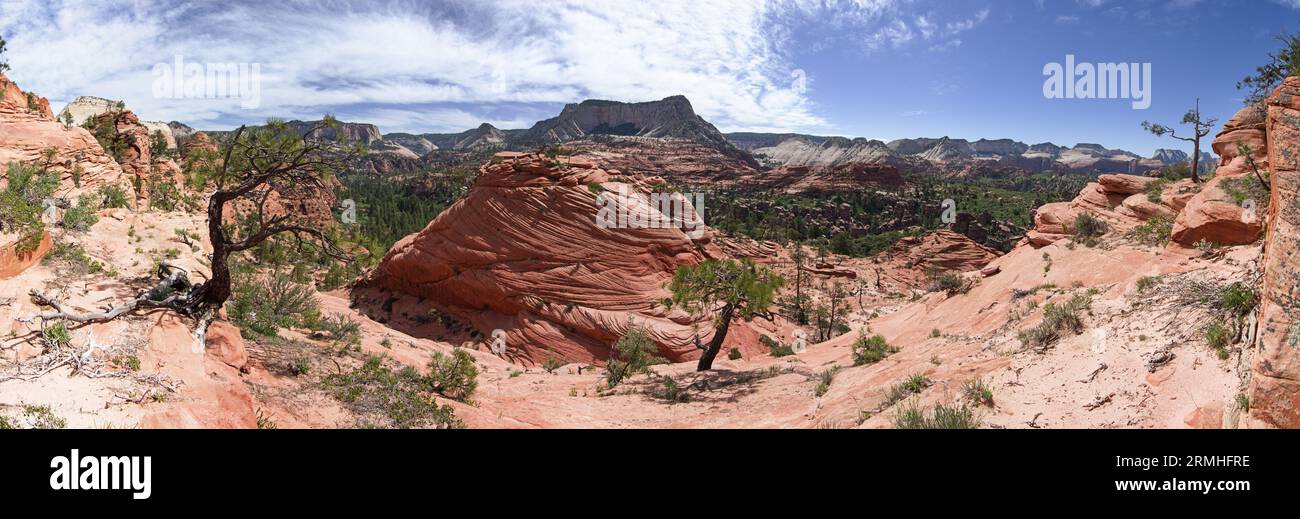 Panorama der Wildnis des Zion-Nationalparks mit roten Sandsteinformationen Stockfoto