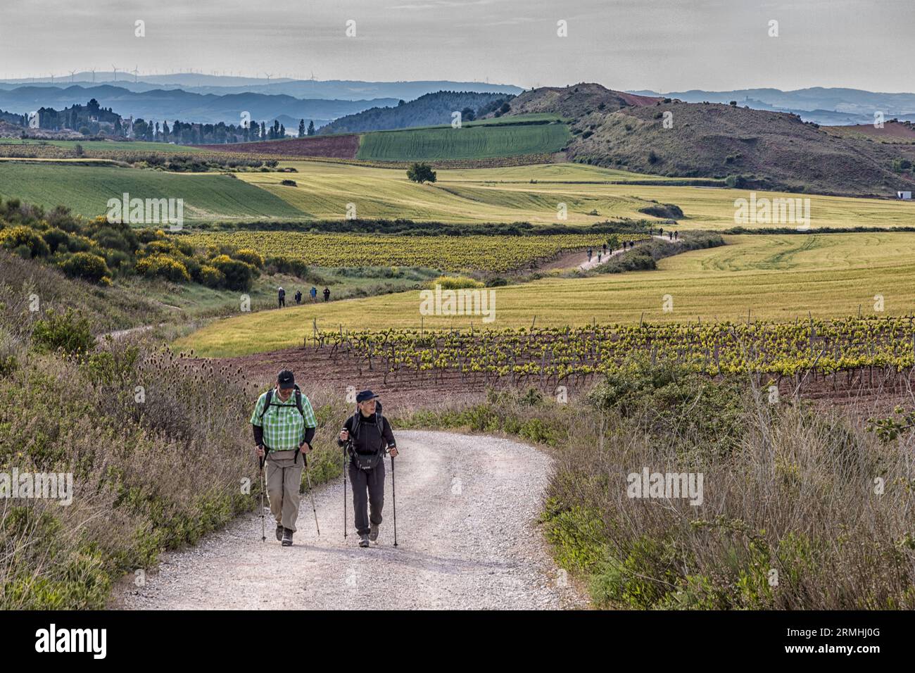 Frühling, Navarra Spanien, Grüntöne bedecken die Hügel, während die Ernten wachsen, Ein Mann und Eine Frau gehen den Camino nach Santiago de Compostela, durch die ländliche Gegend Stockfoto