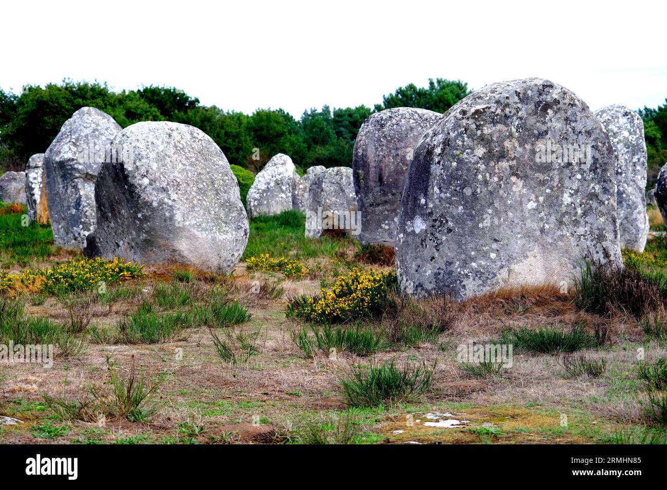 Megalithische Steinausrichtungen in der französischen Carnac-Bretagne Stockfoto