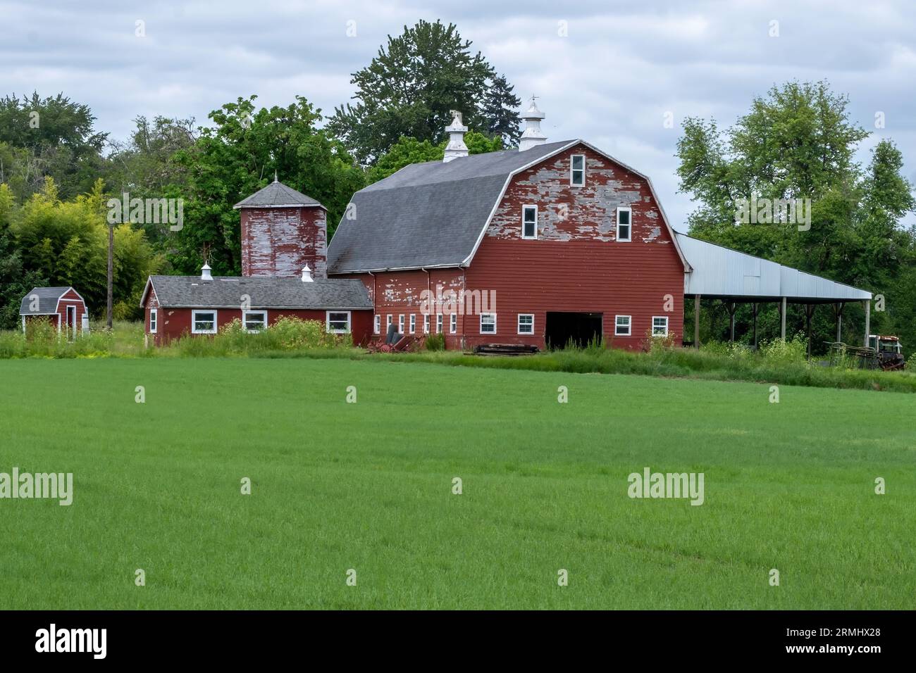Eine alte rote Scheune mit Nebengebäuden, die über ein grünes Gras blicken. Stockfoto
