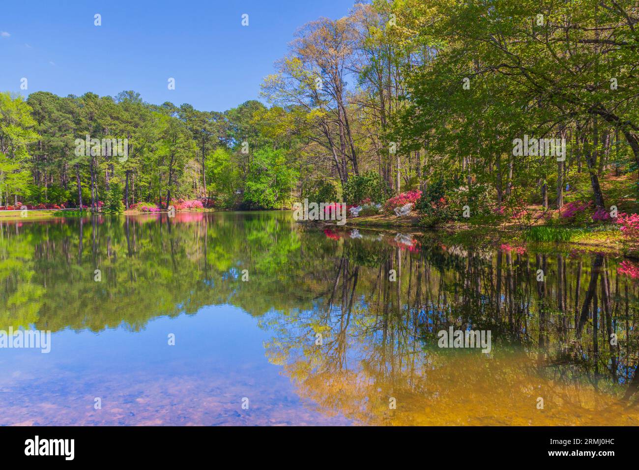 Gartenszene im Azalea Overlook Garden in Callaway Gardens in Pine Mountain, Georgia. Stockfoto